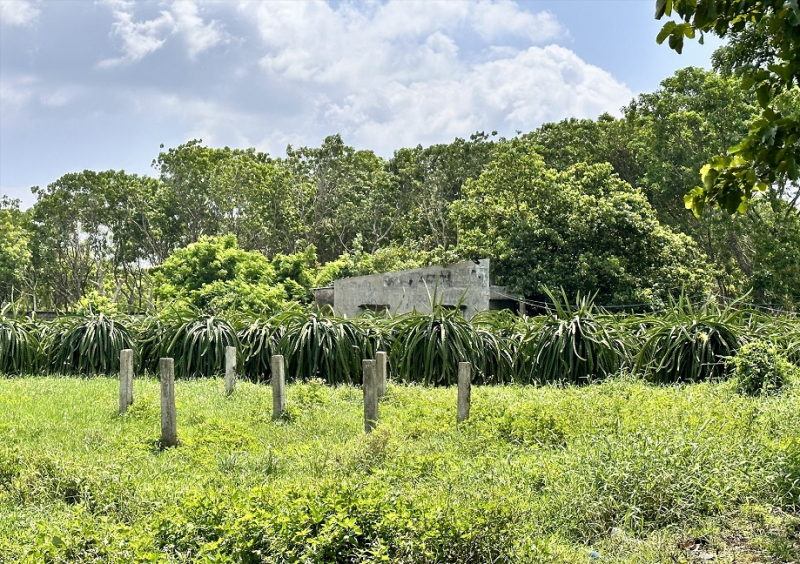 Trưng cầu khám nghiệm tử thi người đàn ông tử vong trong tư thế treo cổ -0
