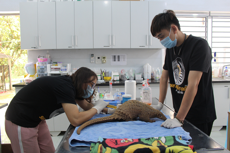 Ân nhân của thú rừng -0