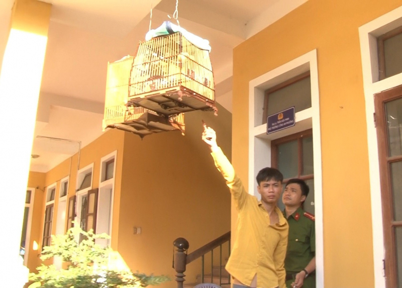 Khám phá Chợ chim cảnh nhộn nhịp ở thủ đô Hà Nội năm 2023