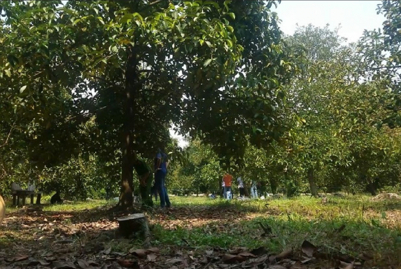 Phát hiện bộ xương người gần nơi người phụ nữ bị sát hại -0