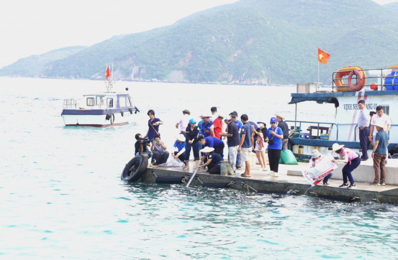 Thả con giống tái tạo thủy sản và trồng rừng ngập mặn ở vịnh Nha Trang -0