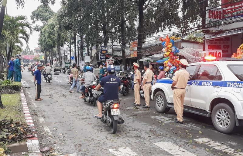 Dông lốc làm ngã, gãy nhiều cây xanh trên Quốc lộ 57 -0