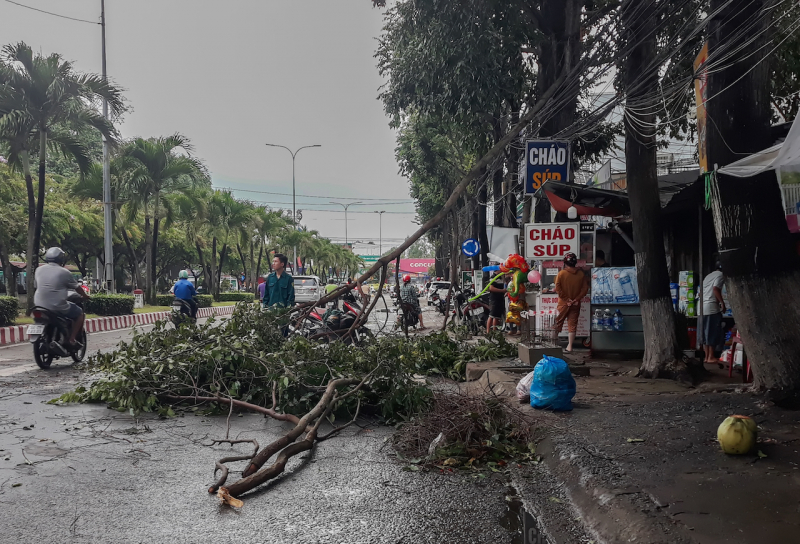 Dông lốc làm ngã, gãy nhiều cây xanh trên Quốc lộ 57 -0