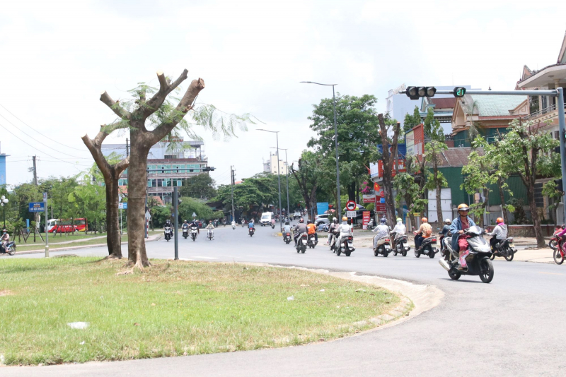 Vì sao hàng loạt cây xanh trên tuyến đường trung tâm TP Huế bị cắt tỉa giữa mùa hè -0