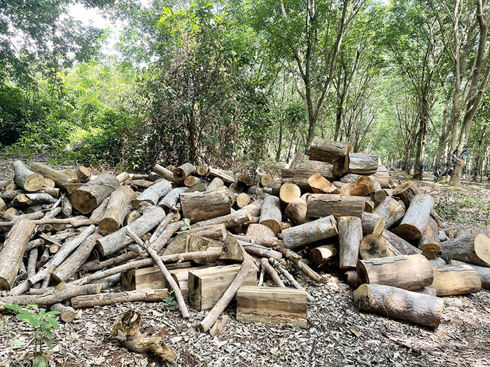 Khởi tố vụ án, bắt thêm 6 đối tượng -1