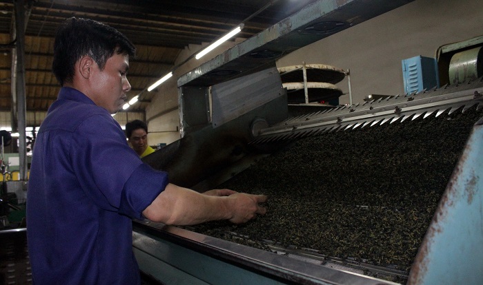 Cảnh báo tình trạng dùng hóa chất nhuộm chè xuất khẩu -0