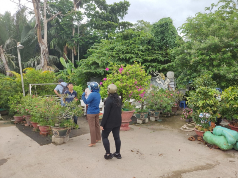 Nguy cơ dịch sốt xuất huyết từ những đồ vật bị bỏ quên -0