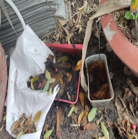 Nguy cơ dịch sốt xuất huyết từ những đồ vật bị bỏ quên -1