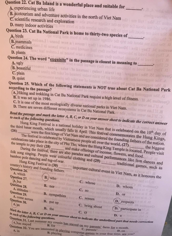 Gợi ý đáp án môn Tiếng Anh trong kỳ thi tuyển sinh vào lớp 10 -0