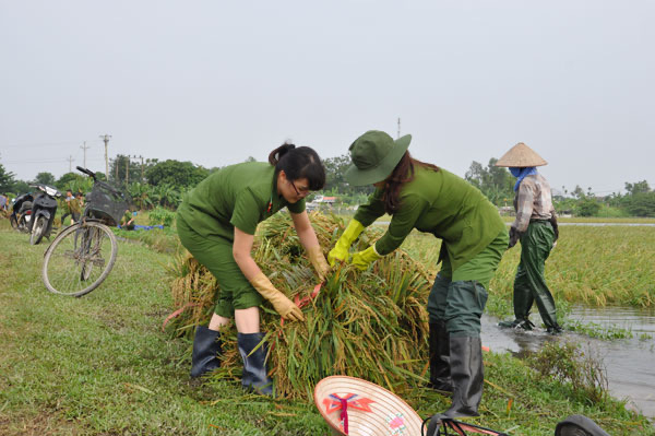 Sáu điều Dạy Của Chủ Tịch Hồ Chí Minh Cơ Sở Quan Trọng Quyết định Cho Việc Hình Thành Văn Hoá 4357