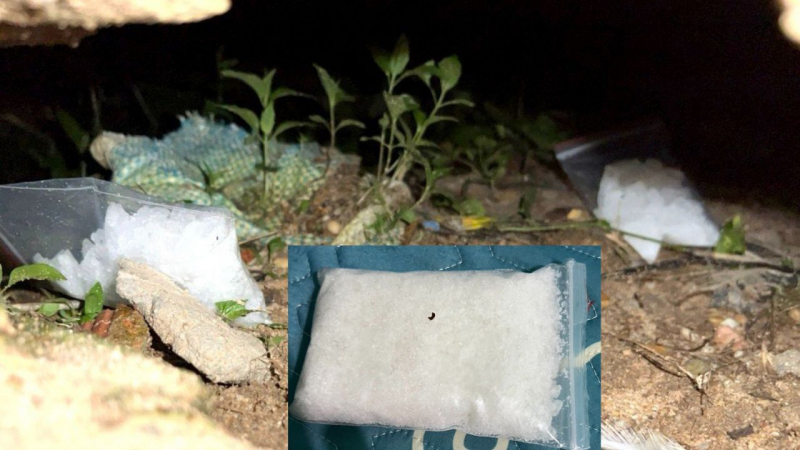 Phát hiện súng đạn tại căn nhà có một nhóm người sử dụng ma túy -0