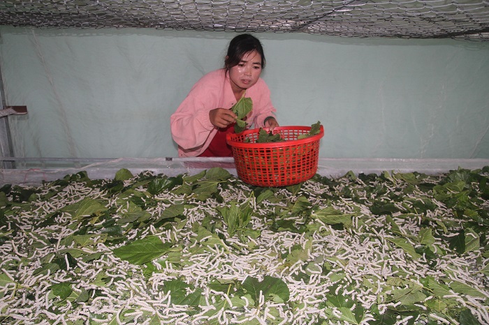 Nhiều chính sách lớn phát triển toàn diện vùng dân tộc thiểu số ở Tây Nguyên -0