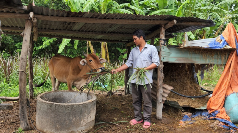 Nguồn vốn chính sách giúp đồng bào dân tộc thiểu số vượt khó, thoát nghèo -0
