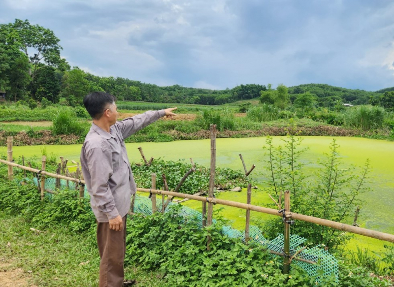 Người dân bức xúc vì cá nuôi gần thu hoạch bỗng dưng chết hàng loạt -0