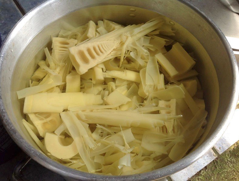 Một phụ nữ ngộ độc nguy kịch do ăn măng -0