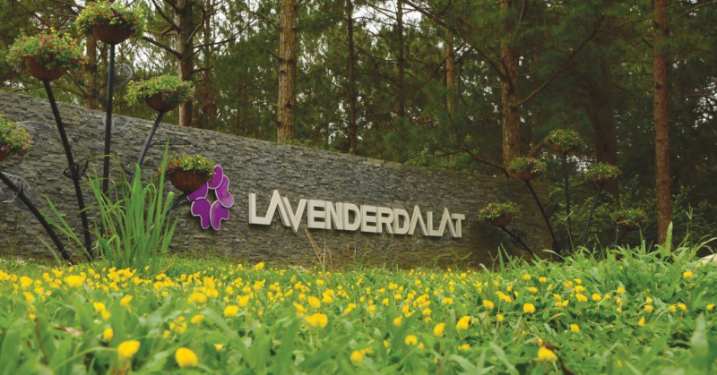 Khu du lịch Lavender Đà Lạt, điểm nhấn ấn tượng ở hồ Tuyền Lâm -0