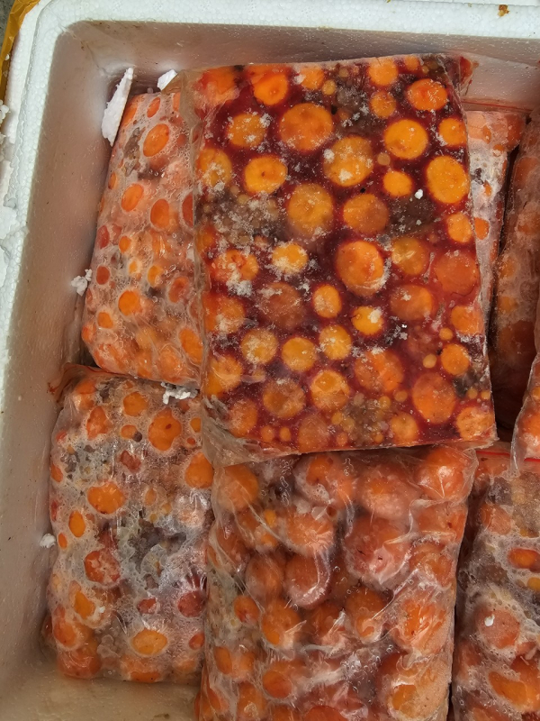 Tạm giữ gần 3 tấn thịt vịt và trứng gà non đông lạnh -0