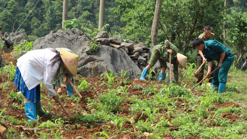 345884922_202161806084158_1729464903111109852_n.jpeg -0