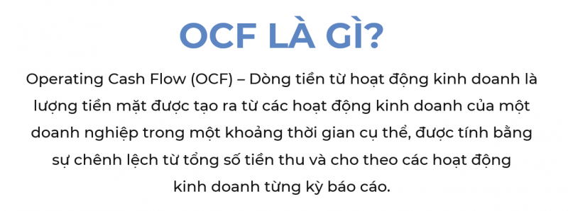 Giải đáp chất lượng lợi nhuận qua các chỉ số tài chính của Vinamilk -0