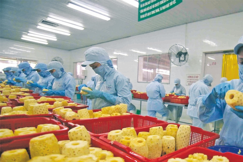 2627_8b24_copy.jpeg -0