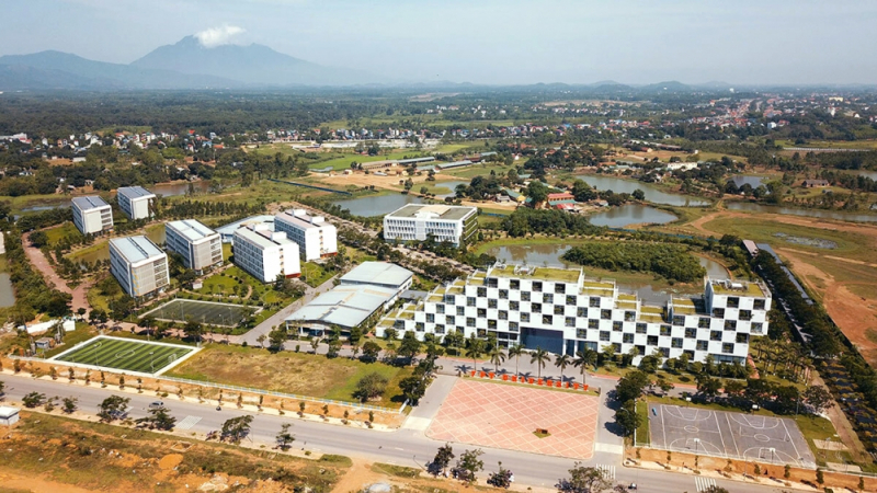 3844_ynh_1-_hoa_lyc.jpeg -0