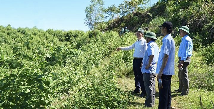 Làm rõ nguyên nhân sông Đakrông xuất hiện màu đỏ đục -0