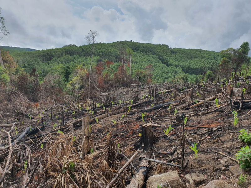 Mở rộng kiểm tra dấu hiệu vi phạm của đảng viên sau phản ánh của Báo CAND -0