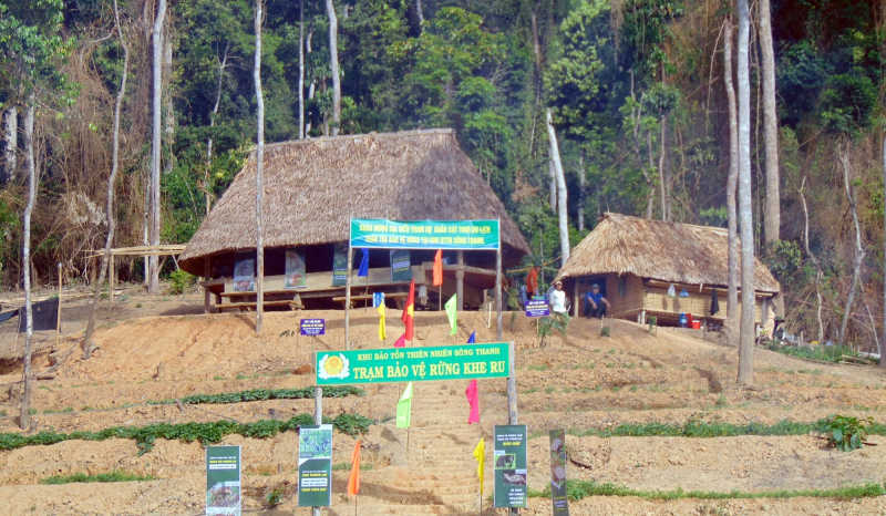 Vi phạm hồ sơ dự thầu, một doanh nghiệp bị cấm đấu thầu 5 năm -0