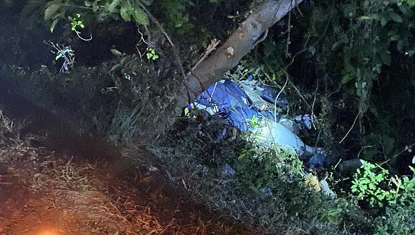 Đánh bóng chuyền phát hiện thi thể trong bụi cây đang phân huỷ -0