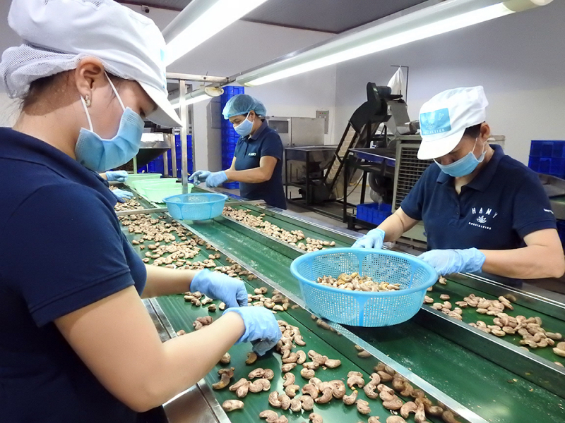 dieu binh phuoc6.jpg -0