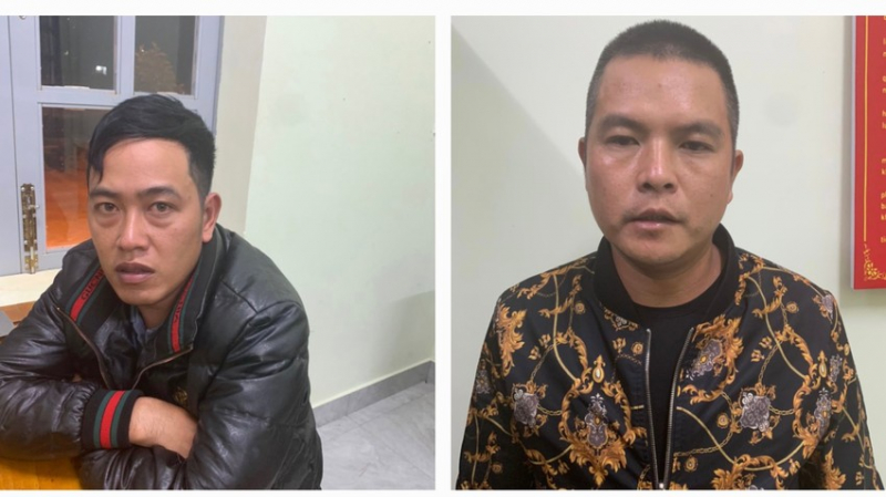 Bắt hai đối tượng ngang nhiên cưa phá rừng thông -0