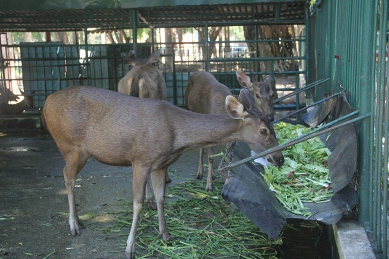 Đà Nẵng đầu tư 673 tỷ đồng nâng cấp, cải tạo Công viên trung tâm phục vụ nhân dân -0