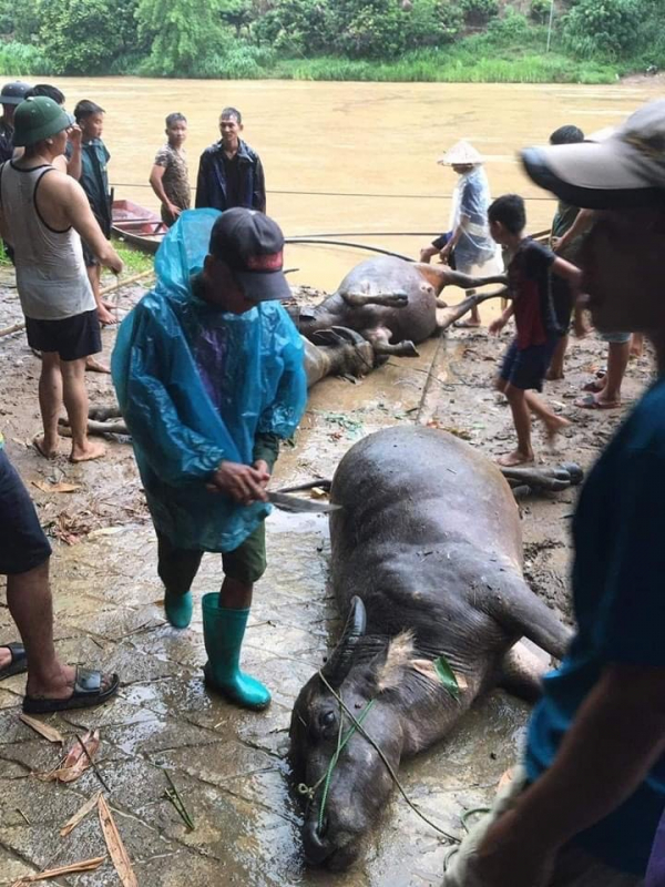Mưa lớn kéo dài, cuốn trôi gần 1 tỷ đồng của người dân -0