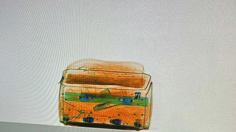 Phát hiện một hành khách nước ngoài mang 2,3kg ma túy nhập cảnh qua cảng HKQT Tân Sơn Nhất -1