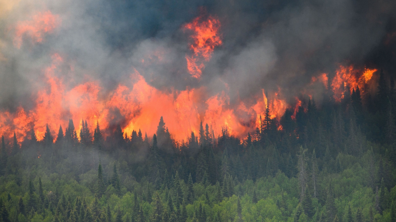 Canada: Chưa hết cháy rừng đã xảy ra lũ lụt -0