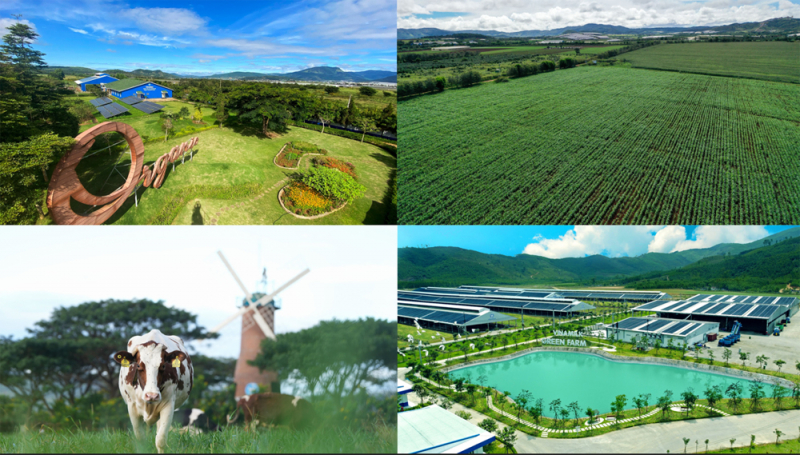 Để có các mô hình “trang trại sinh thái”, “trung hòa carbon”, vinamilk đã chuẩn bị như thế nào? -0