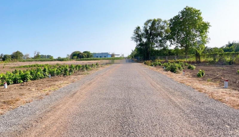 Nhiều sai phạm trong quản lý đất đai ở Bình Phước -0