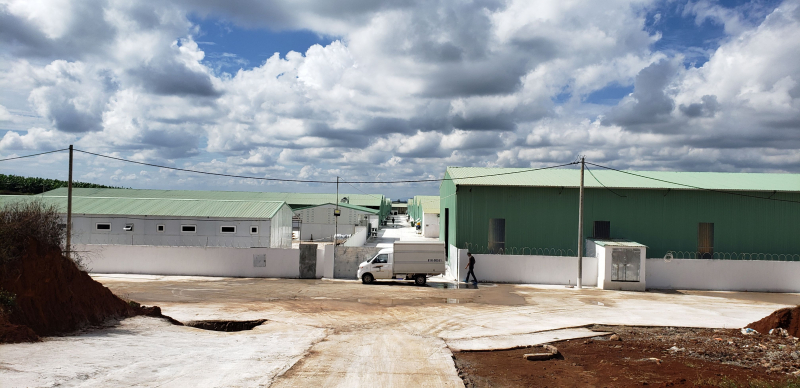 Hàng loạt dự án chăn nuôi hoạt động khi chưa có giấy phép môi trường -0