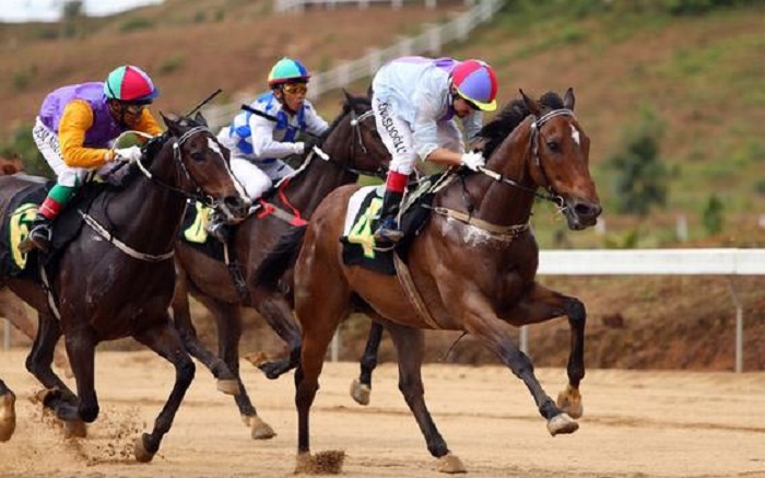 Nhiều vi phạm về đất đai, xây dựng tại Trường Đua thiên mã Mađaguôi -0