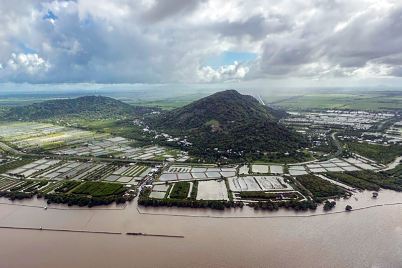Huy động mọi nguồn lực phòng, chống sụt lún, sạt lở và ngập úng Đồng bằng sông Cửu Long -0