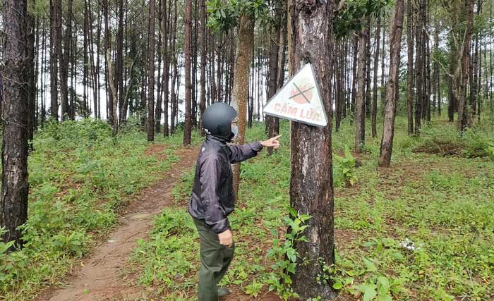 Giá trị lô đất trong vụ án thẩm phán đòi 500 triệu để xử thắng kiện -0