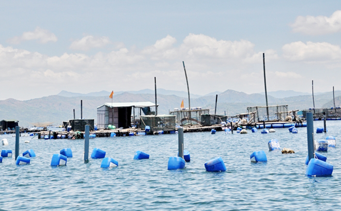 Nhiều hậu quả, hệ lụy từ việc nuôi tôm tự phát -0