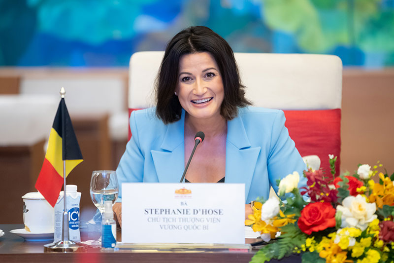 Chủ tịch Quốc hội Vương Đình Huệ hội đàm với Chủ tịch Thượng viện Vương quốc Bỉ -0