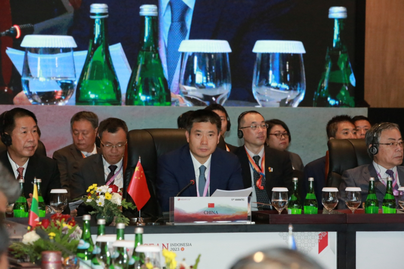 Việt Nam đề nghị ASEAN +3 tăng cường phòng, chống, xử lý tận gốc các loại tội phạm xuyên quốc gia -0