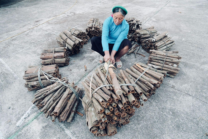 Đến Fansipan, thăm Triển lãm văn hoá “Giấc mơ trên những đám mây