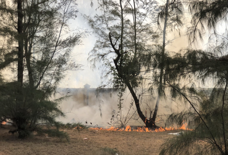 Huy động gần 400 người dập tắt đám cháy trong khu rừng dương ven biển ở Phú Yên -0