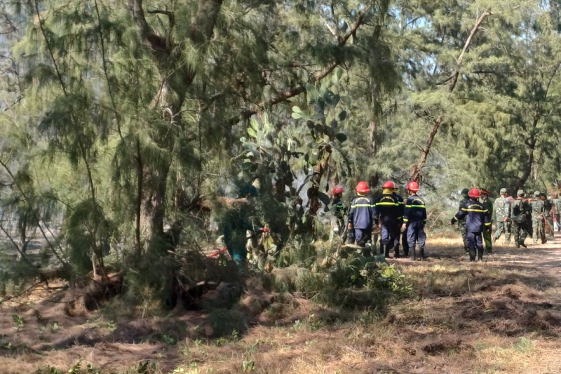 Huy động gần 400 người dập tắt đám cháy trong khu rừng dương ven biển ở Phú Yên -0