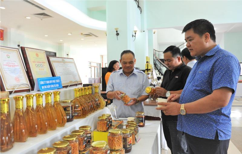 TP Hồ Chí Minh và Tây Nguyên hợp tác phát triển -0