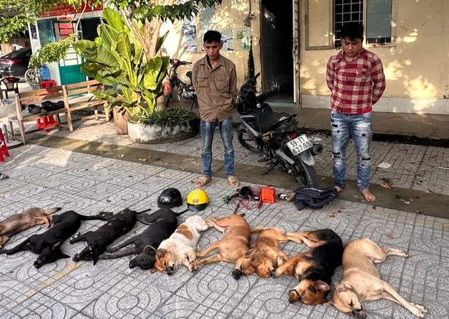 Nhóm trộm chó dùng ớt bột, bình xịt hơi cay tấn công Công an -0