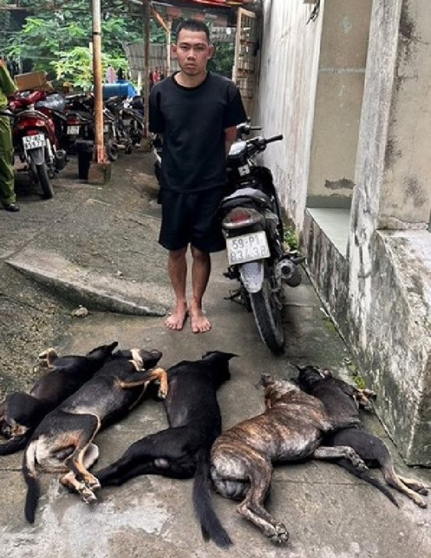 Nhóm trộm chó dùng ớt bột, bình xịt hơi cay tấn công Công an -0